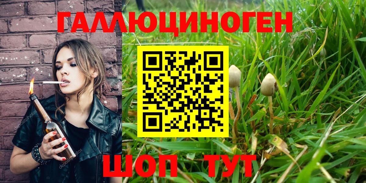 Псилоцибиновые грибы мухоморы Волгодонск