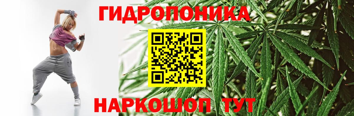 Волгодонск  Шишки марихуана ГИДРОПОН  Бошки Шишки планчик  Конопля Bruce Banner  Вход с VPN  Марихуана VHQ 